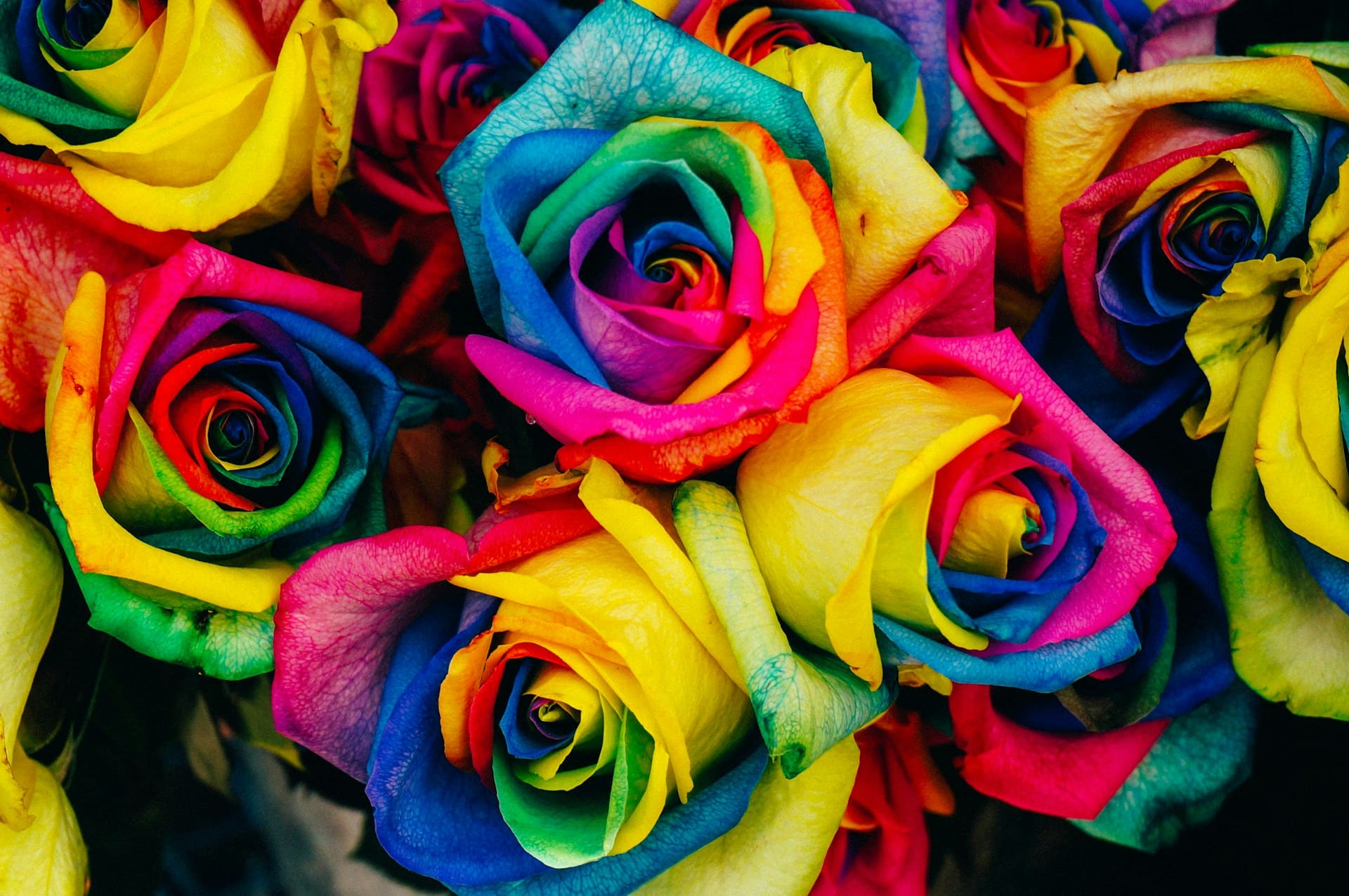 Photo by Denise Chan on Unsplash -- colorful flowers, decor