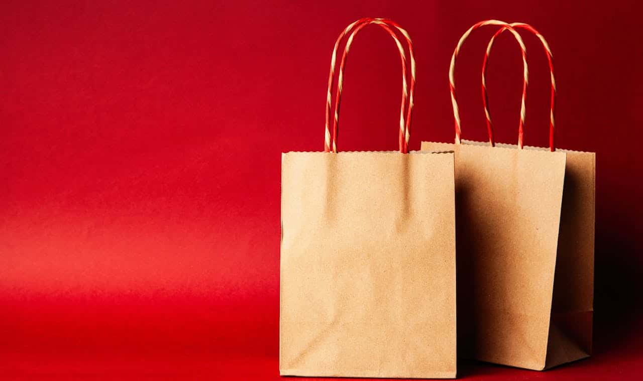 Photo by George Dolgikh: https://www.pexels.com/photo/two-paper-tote-bags-1666067/ -- gift bag