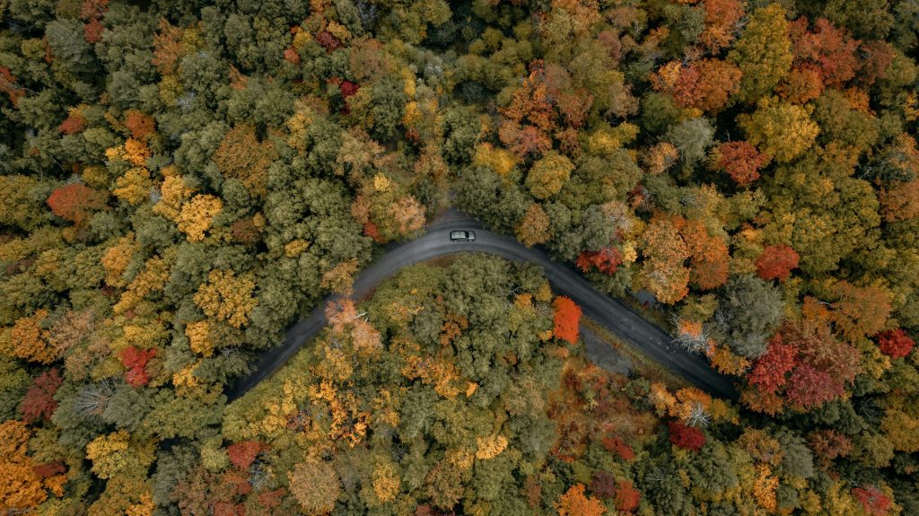 https://unsplash.com/photos/a-black-fork-on-a-pile-of-leaves-HWN2AjxQUWw Photo by Clay Banks on Unsplash