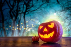 https://www.pexels.com/photo/close-up-of-a-carved-pumpkin-9260660/ Photo by Atlantic Ambiance on Pexels