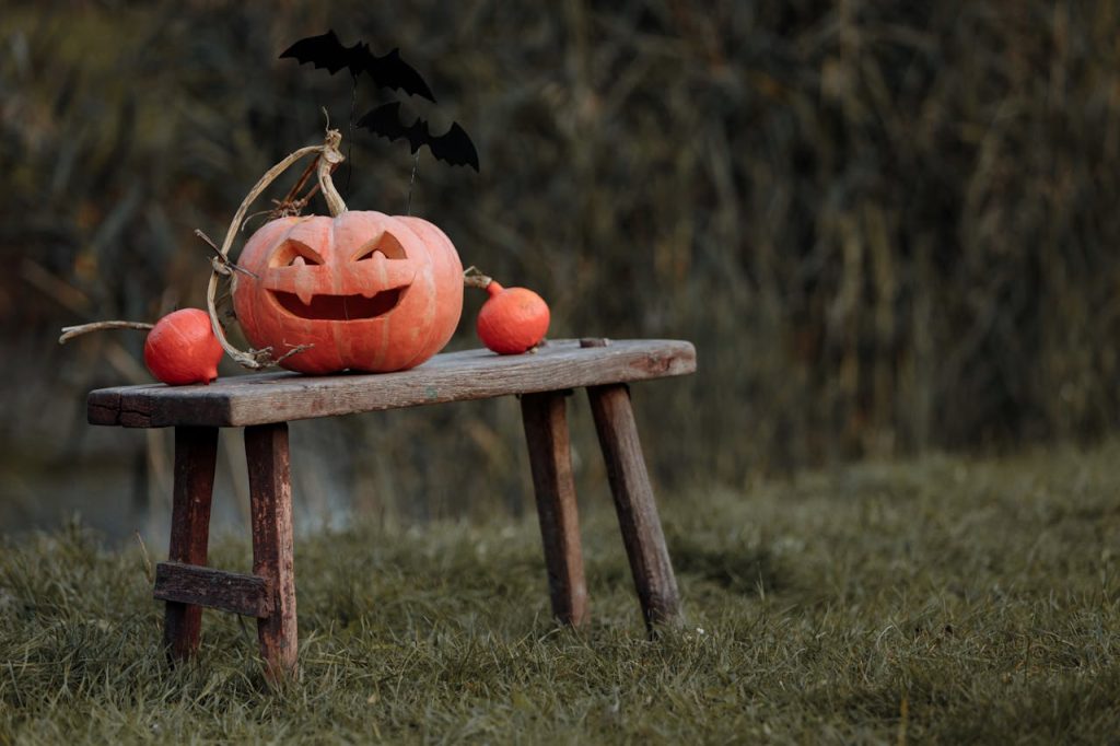 https://www.pexels.com/photo/jack-o-lantern-on-a-wooden-bench-5415708/ Photo by Thirdman on Pexels