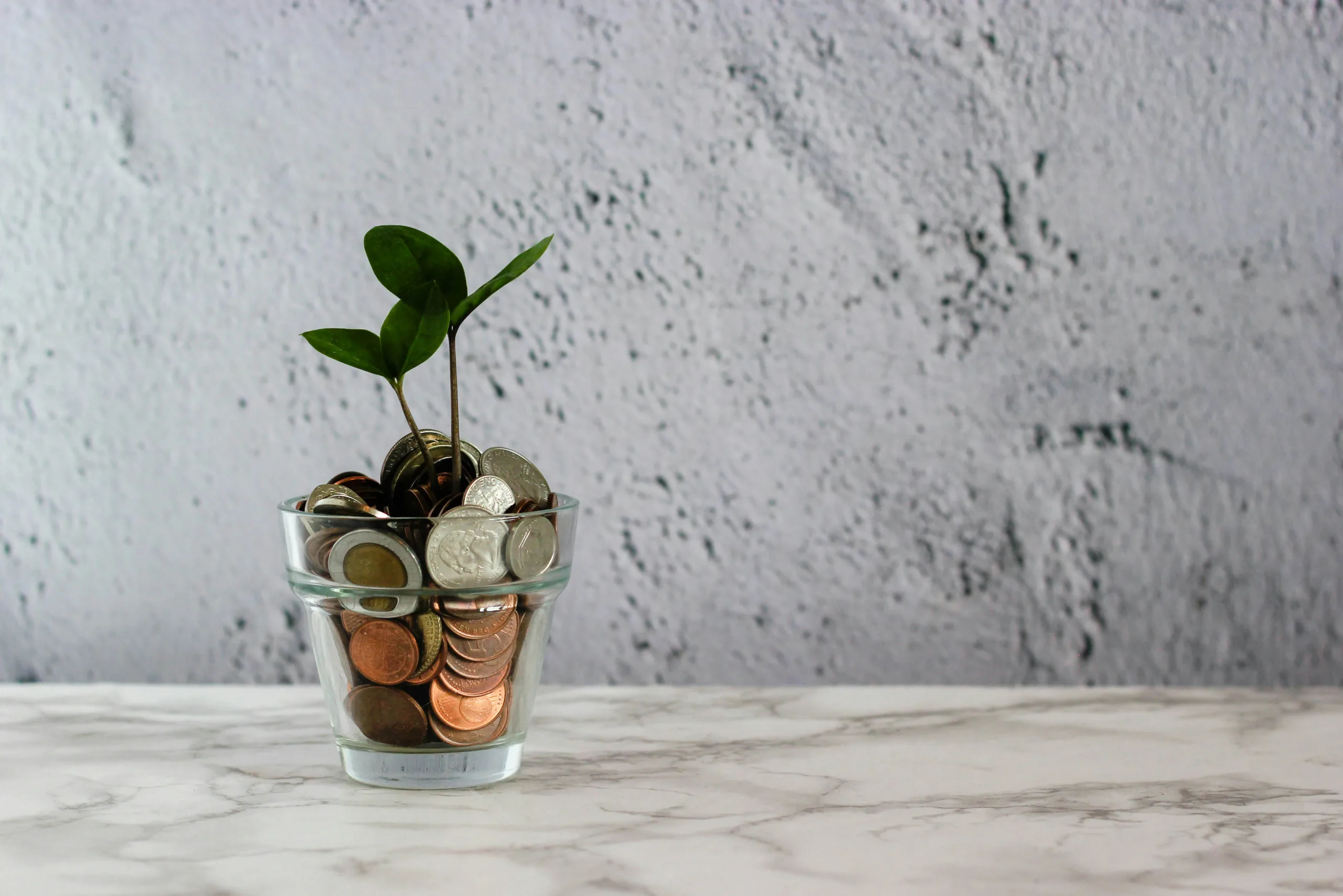 https://unsplash.com/photos/green-plant-in-clear-glass-cup-f030K9IzpcM