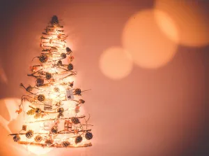 Photo by Ivana Režek: https://www.pexels.com/photo/a-christmas-tree-inspired-wall-decoration-6291308/