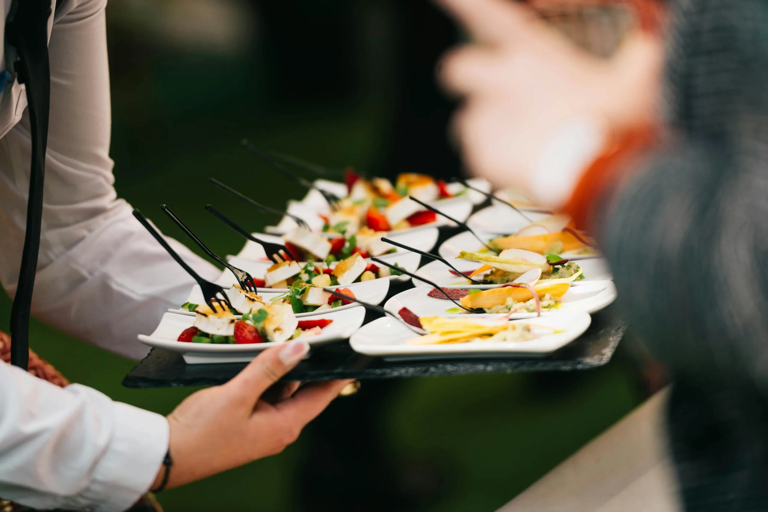 https://www.pexels.com/photo/catering-event-with-gourmet-appetizers-on-tray-34321369/