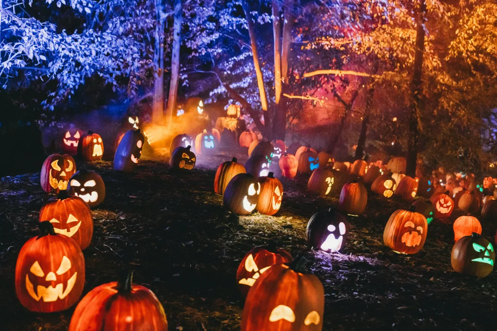 https://unsplash.com/photos/a-group-of-people-in-a-pumpkin-patch-Agak6qgMbZ8