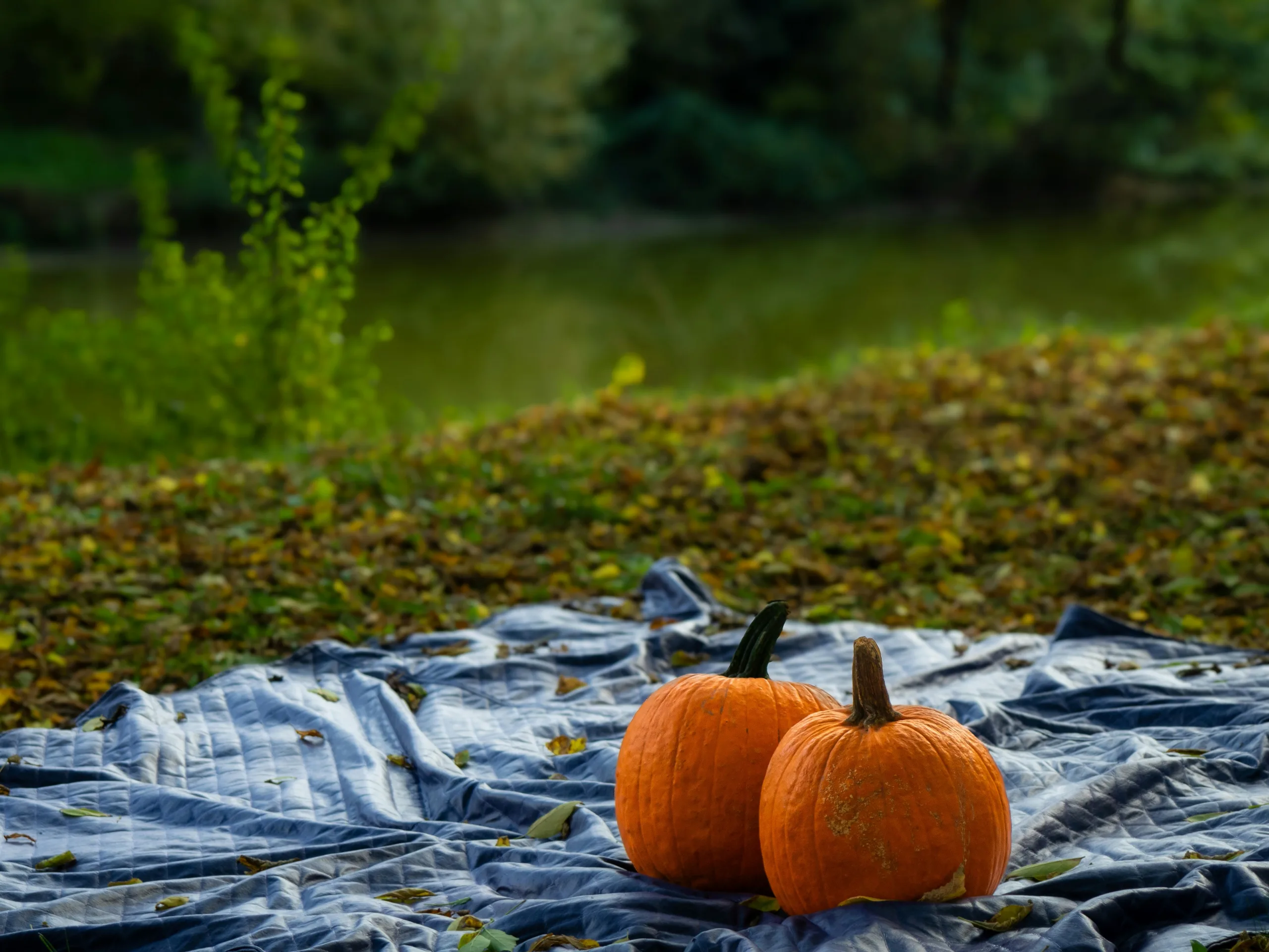 https://unsplash.com/photos/two-orange-pumpkins-sitting-on-a-tarp-near-a-river-I3fKARYPEss